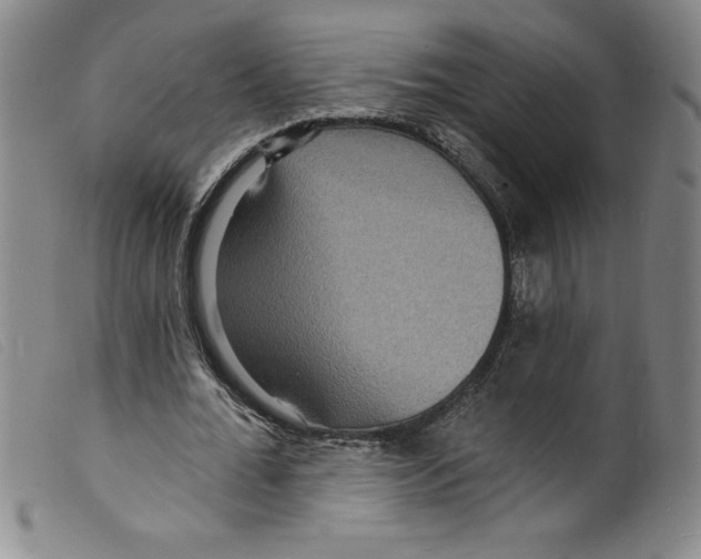 X0000098200676200805221542