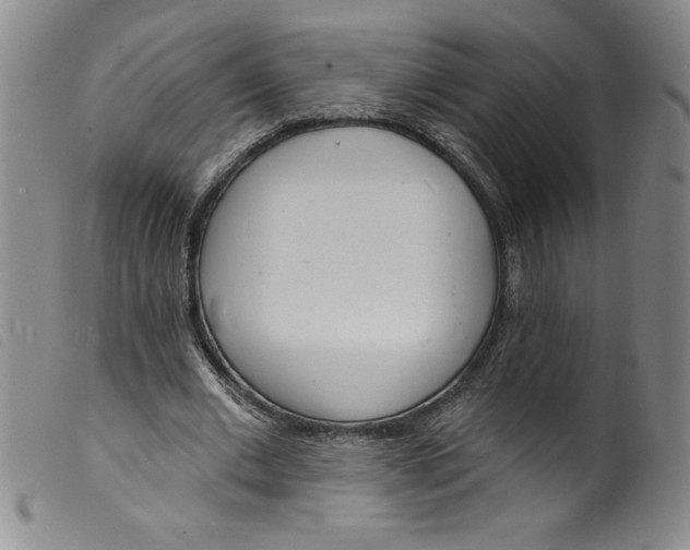 X0000098200677200805221542