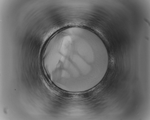 X0000098200678200805221542