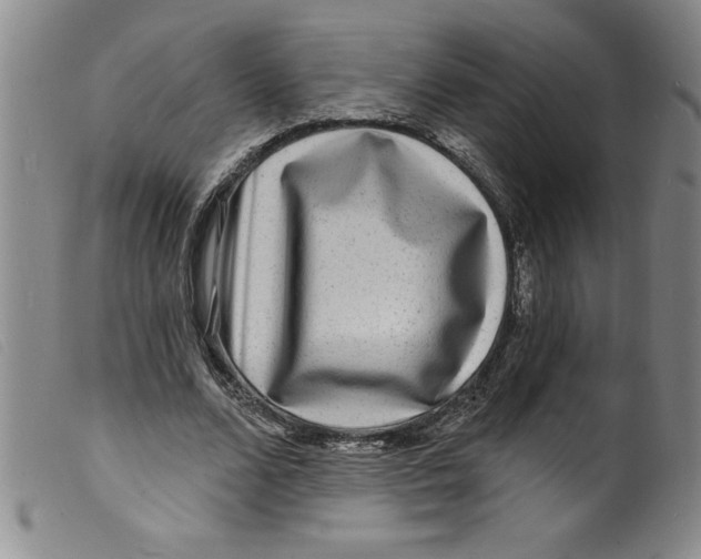 X0000098200680200805221542