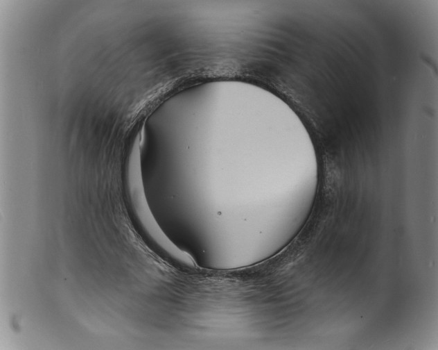 X0000098200681200805221542