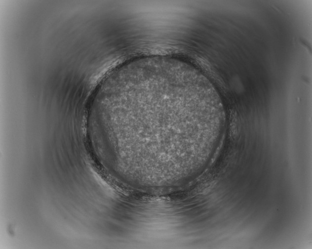 X0000098200683200805221542