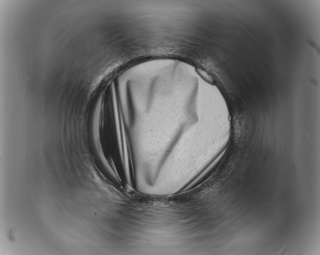 X0000098200684200805221542