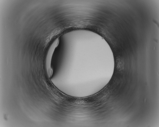 X0000098200685200805221542