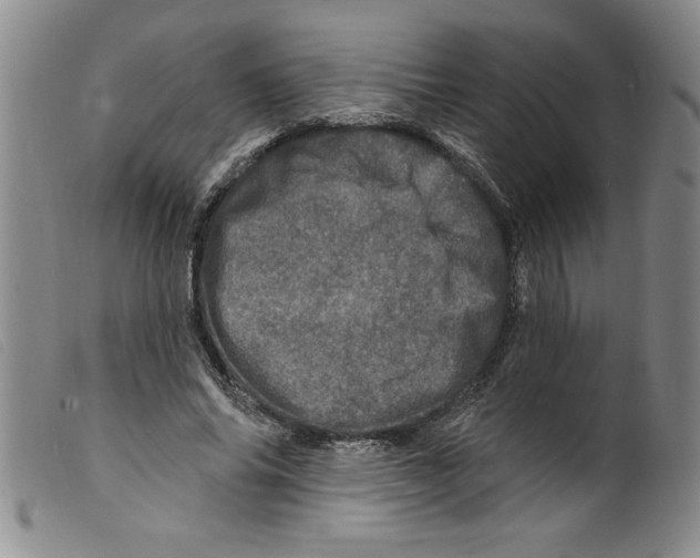 X0000098200686200805221542