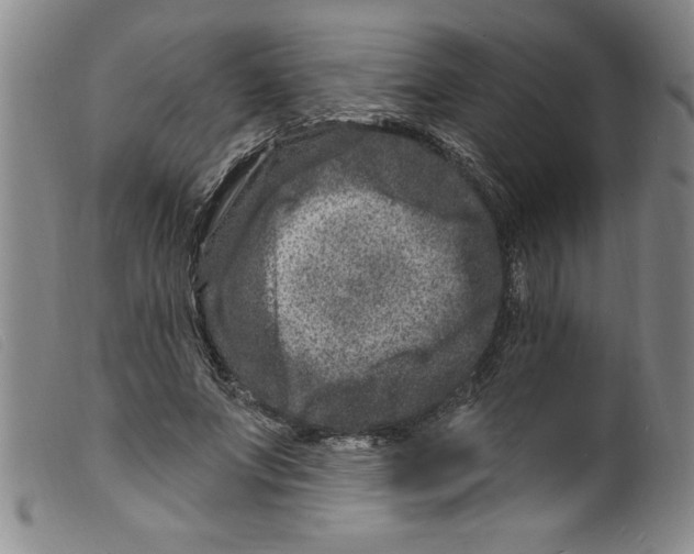 X0000098200687200805221542
