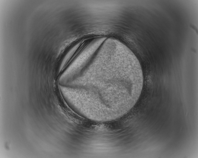 X0000098200688200805221542
