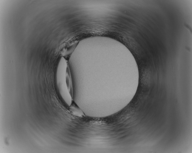 X0000098200689200805221542