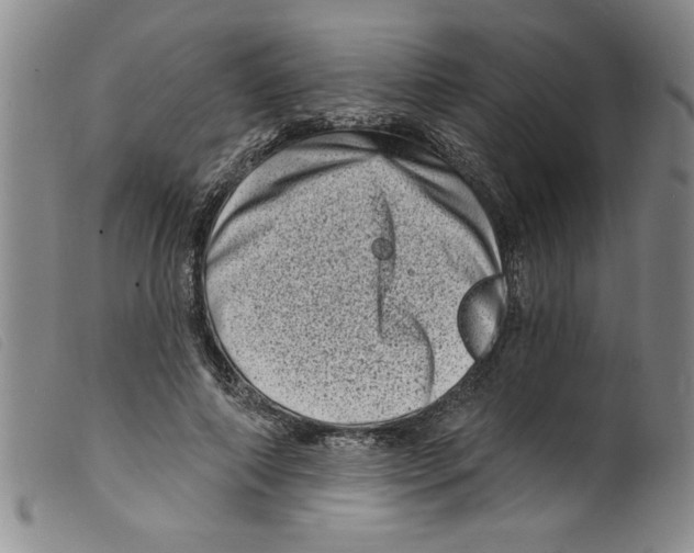 X0000098200690200805221542