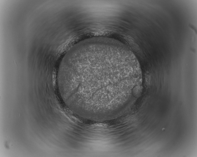 X0000098200691200805221542