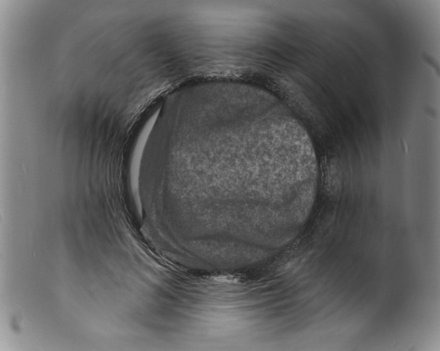 X0000098200692200805221542