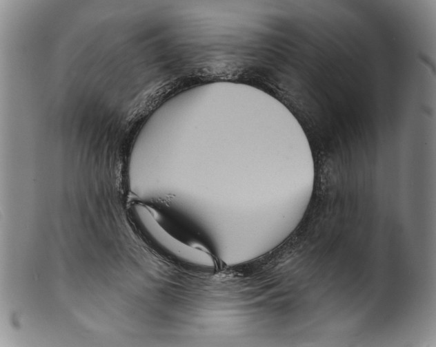 X0000098200693200805221542