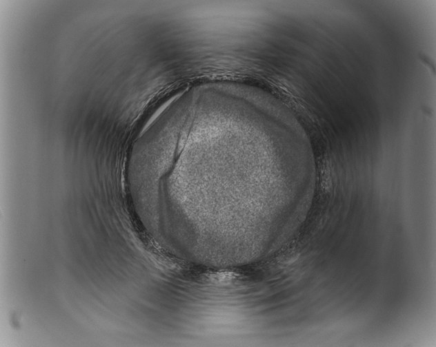 X0000098200695200805221541