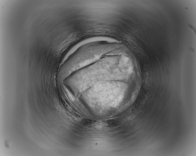 X0000098200696200805221541