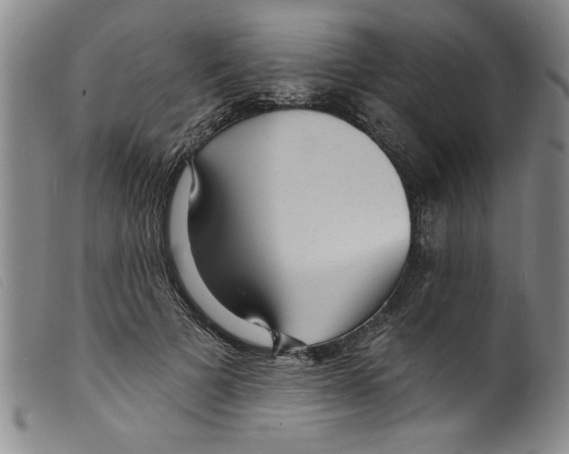 X0000098200697200805221541