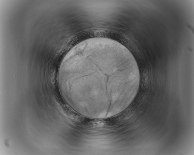 X0000098200698200805221541
