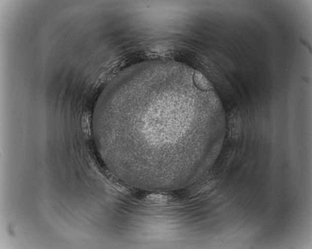 X0000098200699200805221541