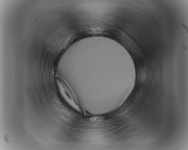 X0000098200700200805221541