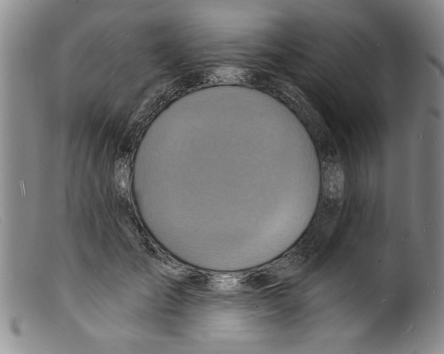 X0000098200701200805221541