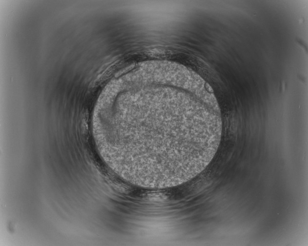 X0000098200702200805221541