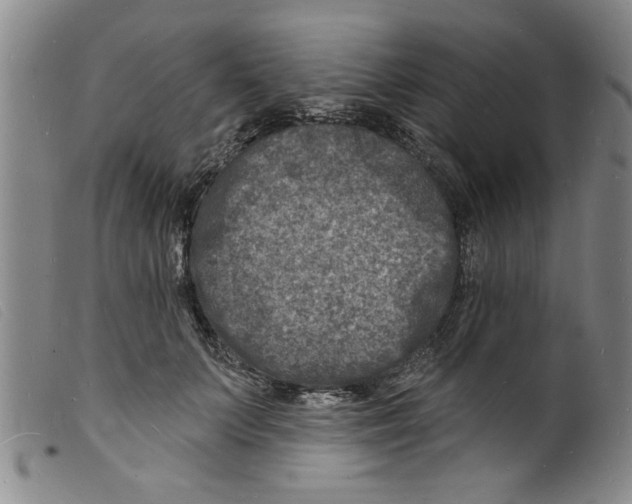 X0000098200703200805221541