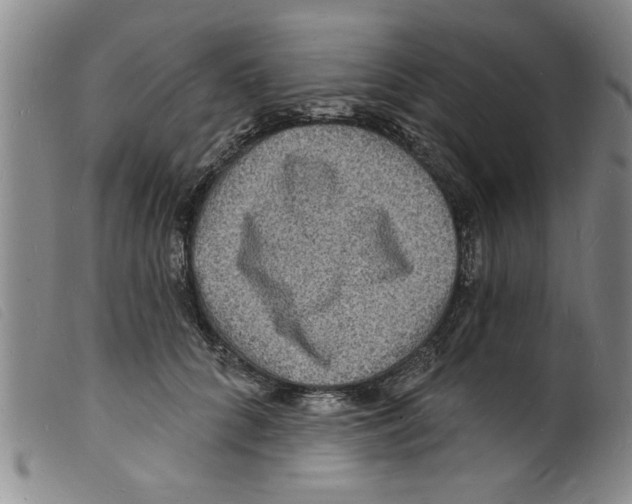 X0000098200704200805221541