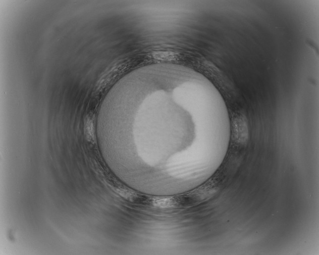 X0000098200705200805221541