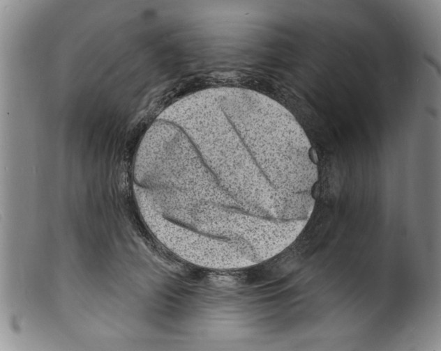 X0000098200706200805221541