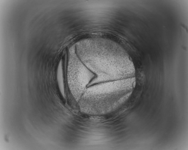 X0000098200707200805221541