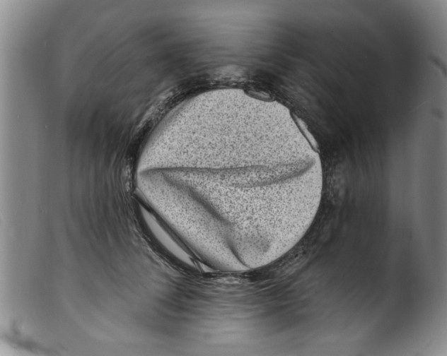 X0000098200708200805221541