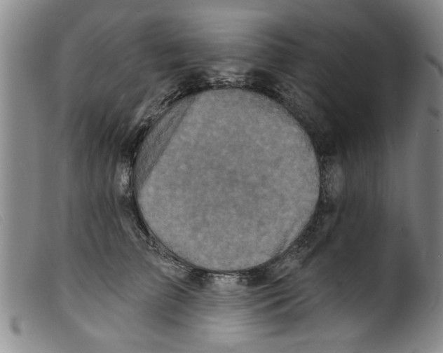 X0000098200709200805221541