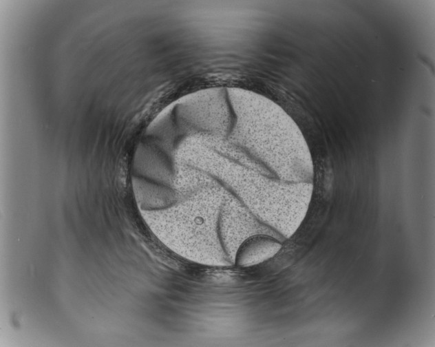 X0000098200710200805221541