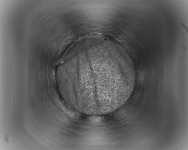 X0000098200711200805221541