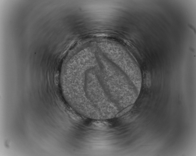 X0000098200712200805221541
