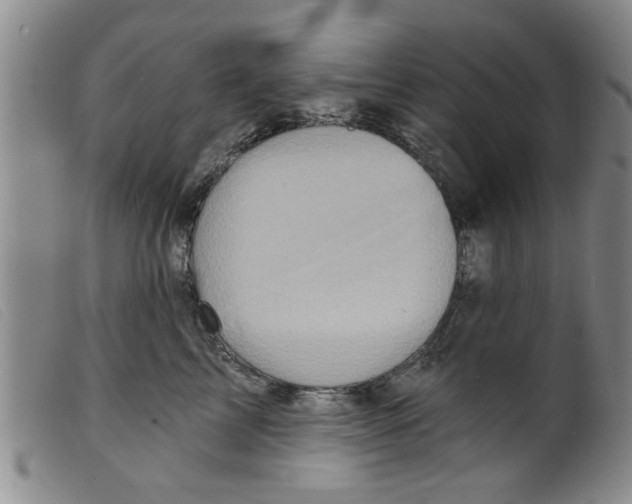 X0000098200713200805221541