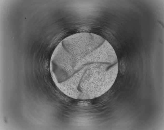 X0000098200714200805221541