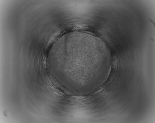 X0000098200716200805221541