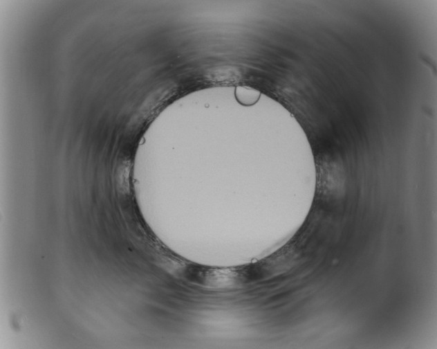 X0000098200717200805221541