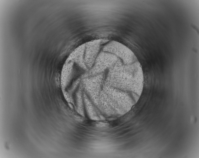 X0000098200718200805221541