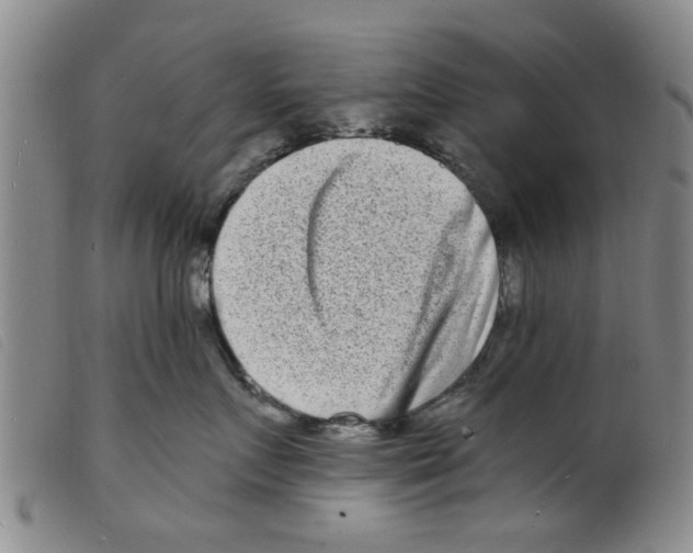 X0000098200719200805221541