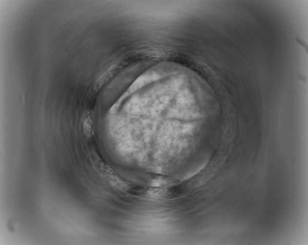 X0000098200720200805221541