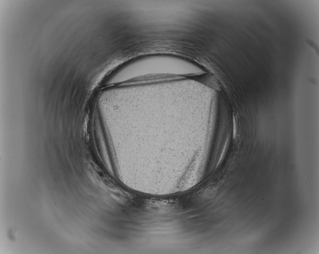 X0000098200723200805221540