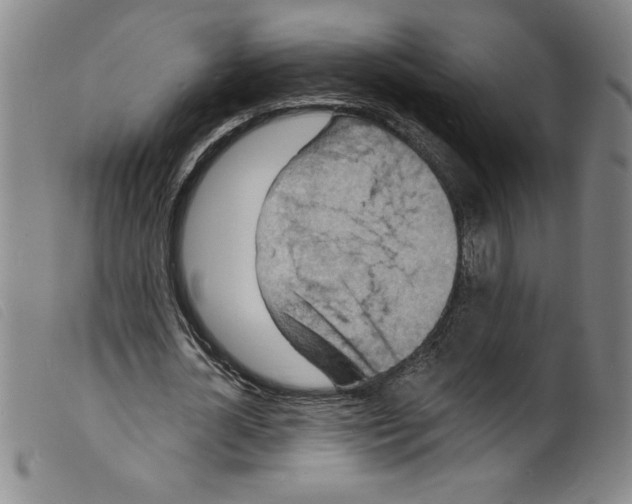 X0000098200724200805221541