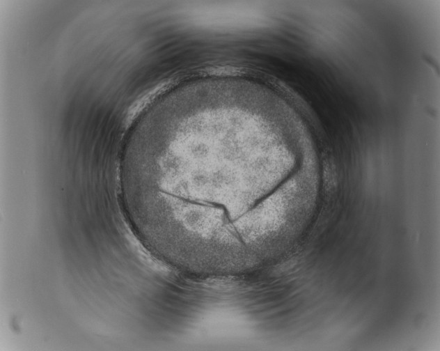 X0000098200725200805221541
