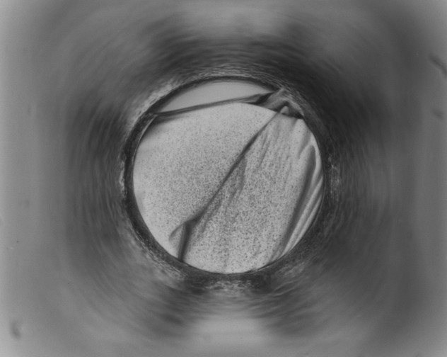 X0000098200727200805221541