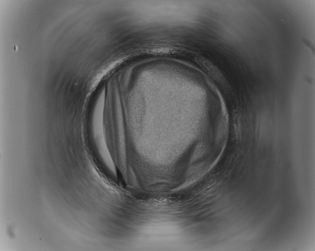 X0000098200728200805221541