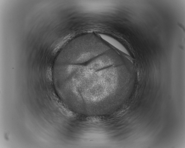 X0000098200729200805221541