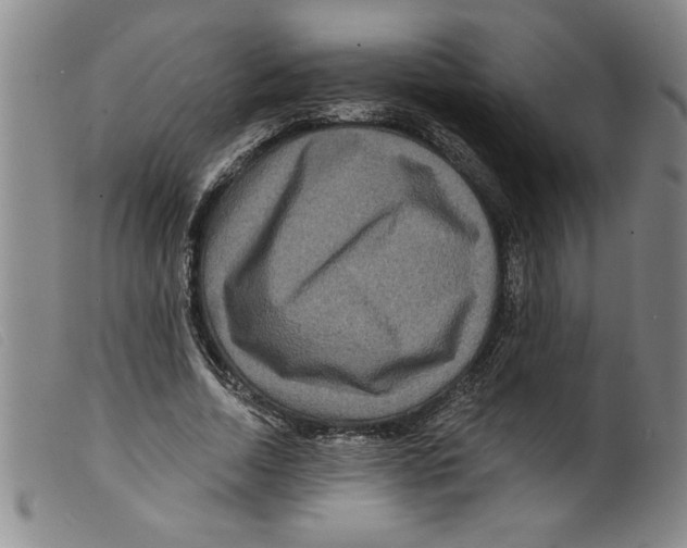 X0000098200730200805221541