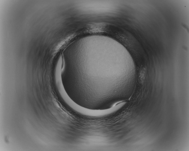 X0000098200732200805221541