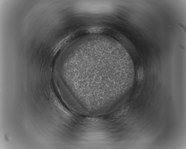 X0000098200733200805221541